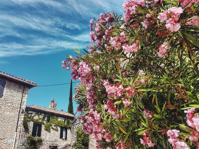 Drôme provençale-La Garde Adhémar
